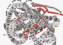 las flores con pelotitas